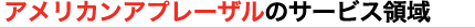 アメリカンアプレーザルのサービス領域(M&Aアドバイザリー,事業価値評価等)